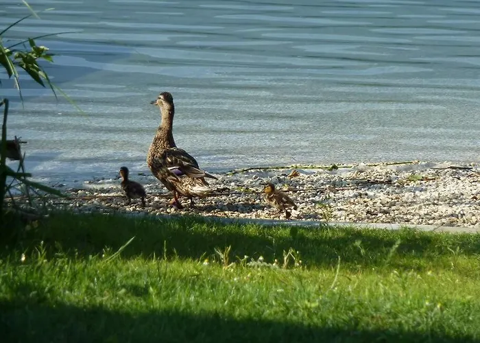 Appartementhaus Bellevue Villach