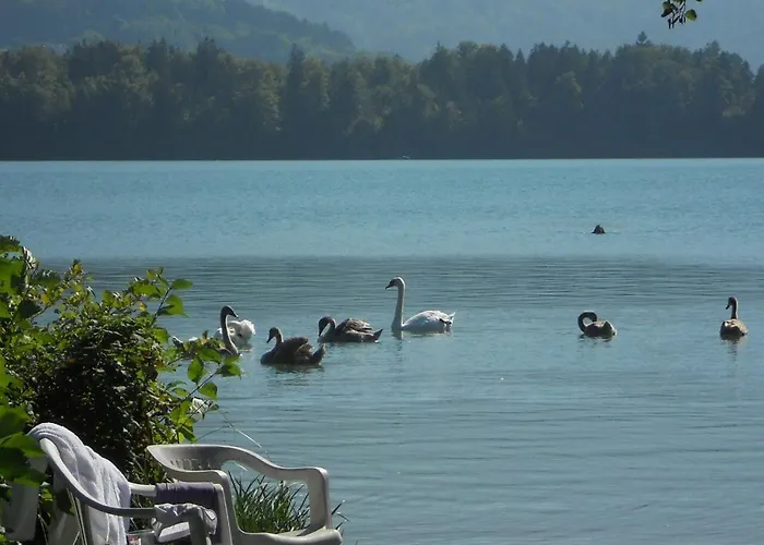 Lägenhet Appartementhaus Bellevue *